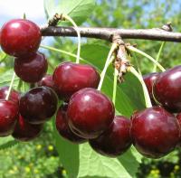 f7b4a014-cc0b-11ef-8915-246e9611e8f5-1