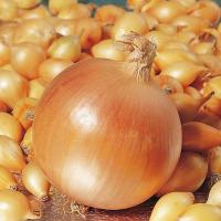 ace58e02-dc84-11e6-bb6f-001e673ebdea-1