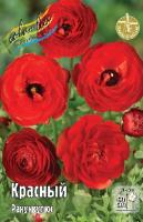 Ranunculus Red