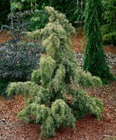 8d86234a-c382-11ef-8915-246e9611e8f5-1