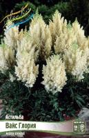 016beb78-3e12-11df-884b-0019dbe91ea3-1