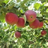 76b30fc2-bb18-11f0-891d-246e9611e8f7-1