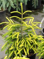 993eb0ec-d02b-11f0-891e-246e9611e8f6-1