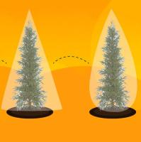 dc87f53a-5b26-11ed-aea3-001e673ebdea-1