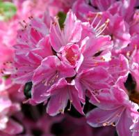 de7df68f-43a4-11e8-8910-005056c00008-1