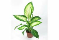 302b0e4a-cb90-11f0-891e-246e9611e8f6-1