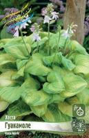 ddacf1f6-9c29-11e2-9c5d-00500454e615-1