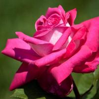 33b4821a-e1d4-11ee-890a-246e9611e8f5-1