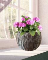 62123bde-d667-11f0-891e-246e9611e8f6-1