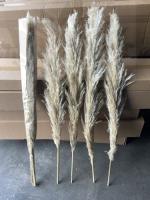 42d65682-9ce3-11ef-8912-246e9611e8f7-1