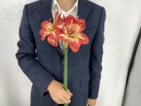 1fd5434e-5a60-11f0-891b-246e9611e8f7-1