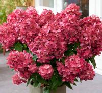 752bc3e0-bf07-11f0-891d-246e9611e8f7-1