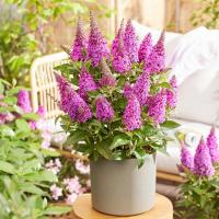 25c88107-d01a-11f0-891e-246e9611e8f6-1