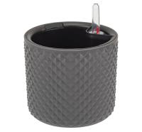 29bd7509-fc9d-11ee-890b-246e9611e8f5-1