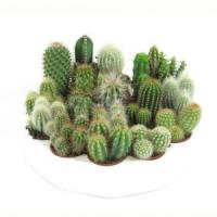 d6958553-7e08-11ee-ae0a-001e673ebdea-1