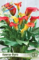 82b23040-362f-11eb-b90a-005056c00008-1