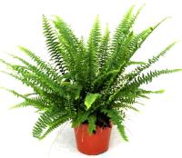 4e7302fa-d22e-11ee-890a-246e9611e8f5-1