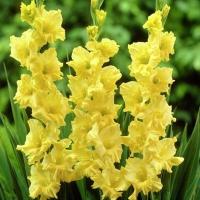 232da66e-67b2-11ed-bd4c-001e673ebdea-1