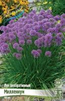 27334b75-0a7f-11f1-8924-246e9611e8f6-1