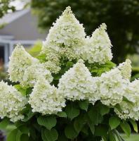 e30580c3-bf09-11f0-891d-246e9611e8f7-1