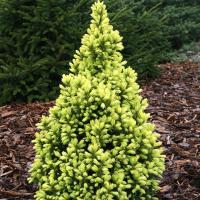 8da8c8a3-e095-11ef-8915-246e9611e8f5-1