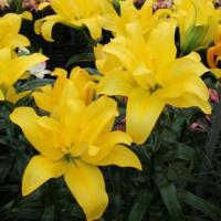 684b4fb3-be8c-11e4-9b9e-001e673ebdea-1