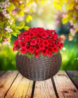 2ad0477f-da84-11f0-891e-246e9611e8f6-1