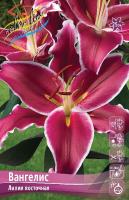 75c52a31-675d-11ed-bd4c-001e673ebdea-1