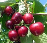 fe7b6664-bec0-11f0-891d-246e9611e8f7-1