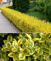 a0e01d3a-5418-11f0-891a-246e9611e8f6-1