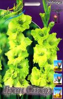 53530d3b-47e8-11ea-96d1-005056c00008-1