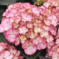 a244aaab-c1fd-11f0-891d-246e9611e8f7-1