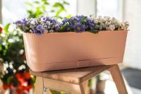 1f5df130-a6c4-11ed-8508-001e673ebdea-1