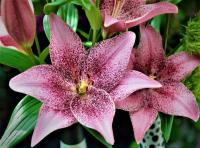 a10e6f74-7160-11ed-be6f-001e673ebdea-1