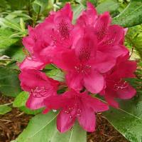 8c19e360-67cb-11ed-bd4c-001e673ebdea-1