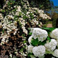 b2c2664c-21ca-11f0-8918-246e9611e8f6-1