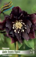 b625bb02-7218-11ec-8bcd-005056c00008-1