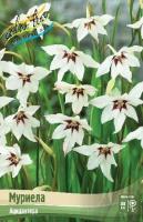 c6ca6edc-62d6-11e2-aa45-00500454e615-1