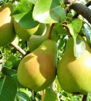 be6668c4-29c4-11f0-8918-246e9611e8f6-1 be6668c4-29c4-11f0-8918-246e9611e8f6-1