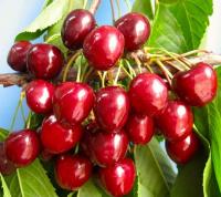 37b38cd7-bec5-11f0-891d-246e9611e8f7-1