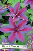 46679734-69c9-11e1-aec8-00500454e615-1