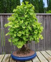 fa1d7d7a-d25b-11ef-8915-246e9611e8f5-1