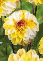 71fb9997-f1cb-11e6-bb6f-001e673ebdea-1