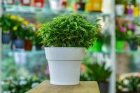 da0c1ef6-5686-11ed-aea3-001e673ebdea-1