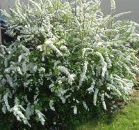 ef8f29d7-113a-11f0-8918-246e9611e8f6-1