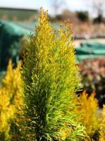 b9d2c011-5955-11ef-8910-246e9611e8f6-1