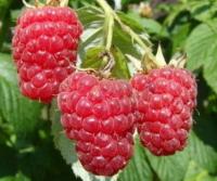 4ff6e8df-badb-11f0-891d-246e9611e8f7-1