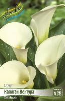 57a185c4-2e90-11e8-a7ea-005056c00008-1