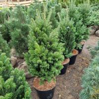 c540b000-c1c4-11ef-8915-246e9611e8f5-1