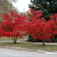 a21310a4-1747-11ef-890b-246e9611e8f5-1